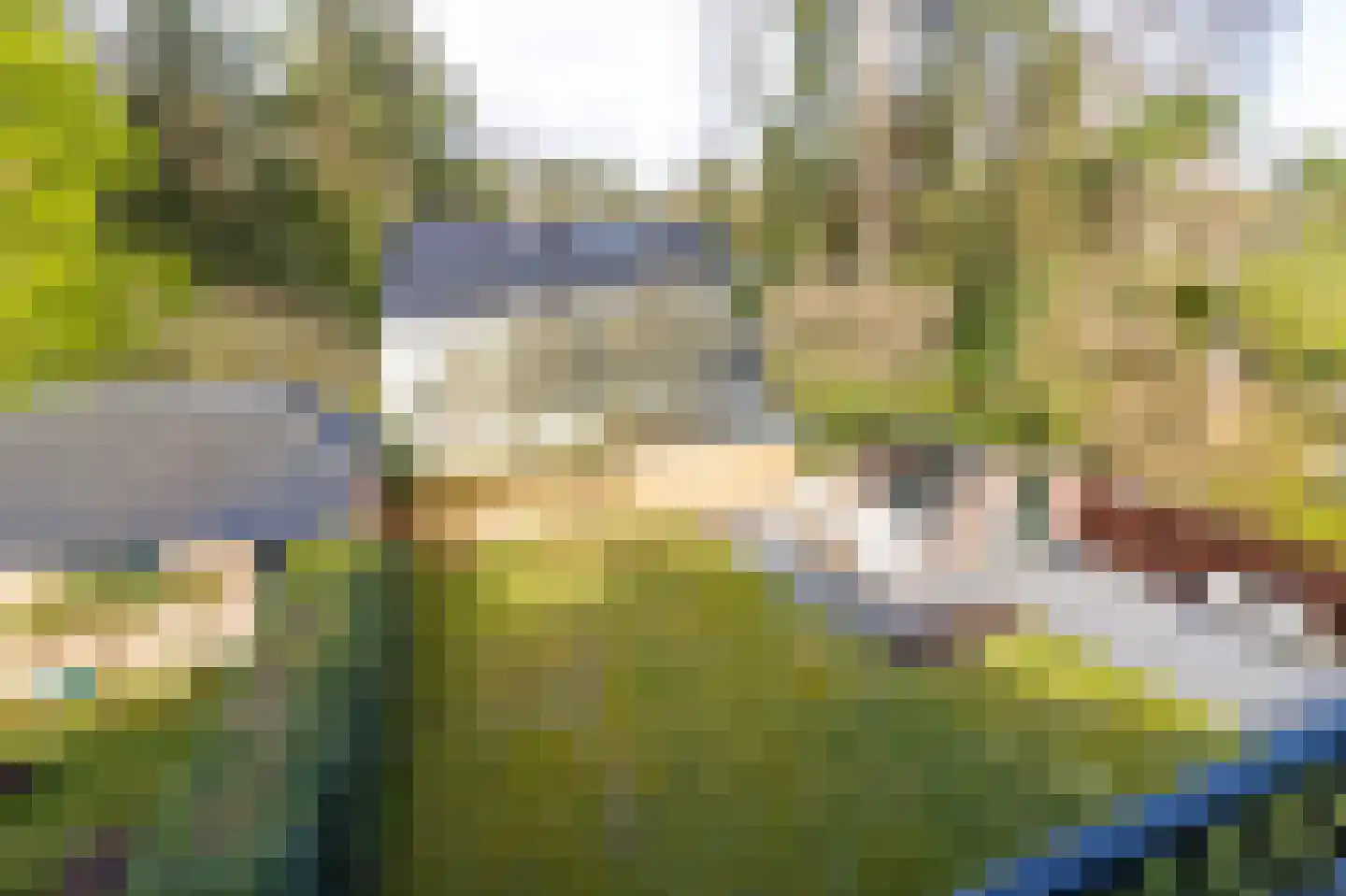 Sparrenlaan 10 Soest thumbnail 13
