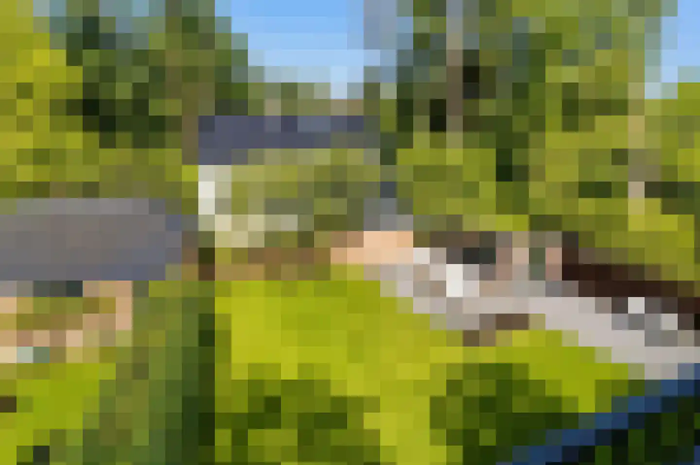 Sparrenlaan 10 Soest thumbnail 16