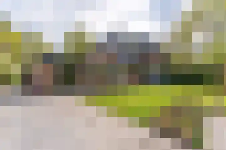 Sparrenlaan 10 Soest thumbnail 43