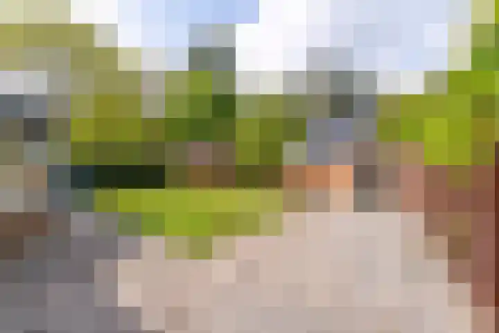 Sparrenlaan 10 Soest thumbnail 45