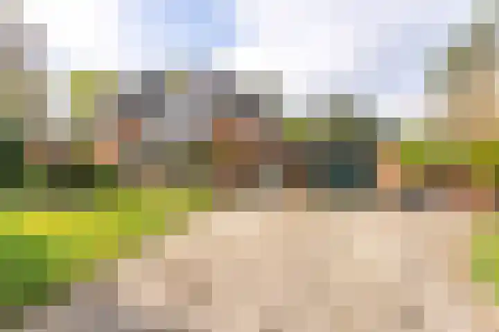 Sparrenlaan 10 Soest thumbnail 48