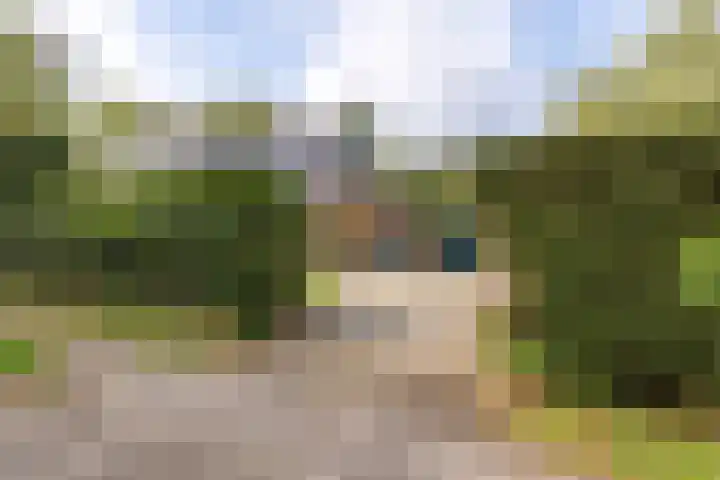 Sparrenlaan 10 Soest thumbnail 50