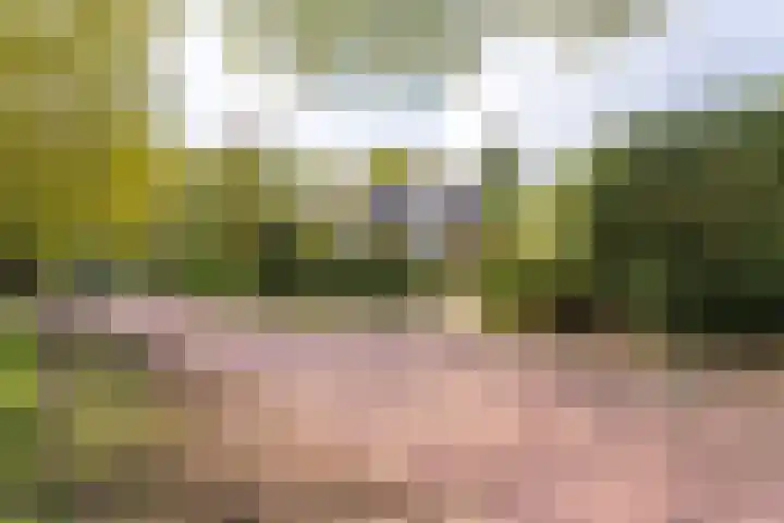 Sparrenlaan 10 Soest thumbnail 51