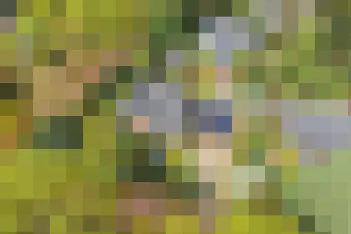 Sparrenlaan 10 Soest thumbnail 52