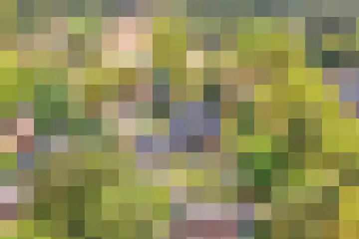 Sparrenlaan 10 Soest thumbnail 53