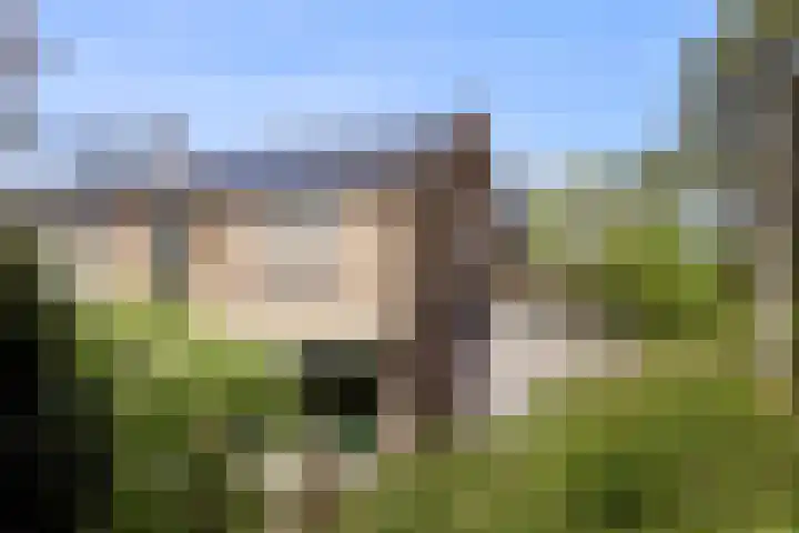 Sparrenlaan 11 Vlieland thumbnail 14