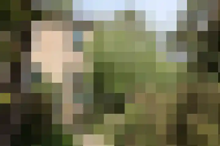 Sparrenlaan 11 Vlieland thumbnail 15