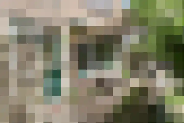 Sparrenlaan 11 Vlieland thumbnail 16