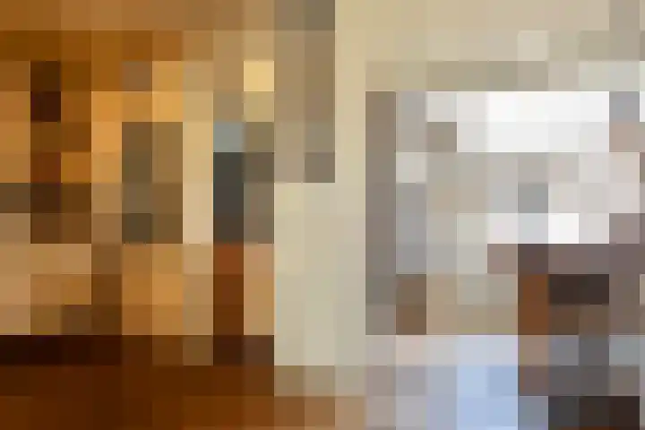Sparrenlaan 11 Vlieland thumbnail 7