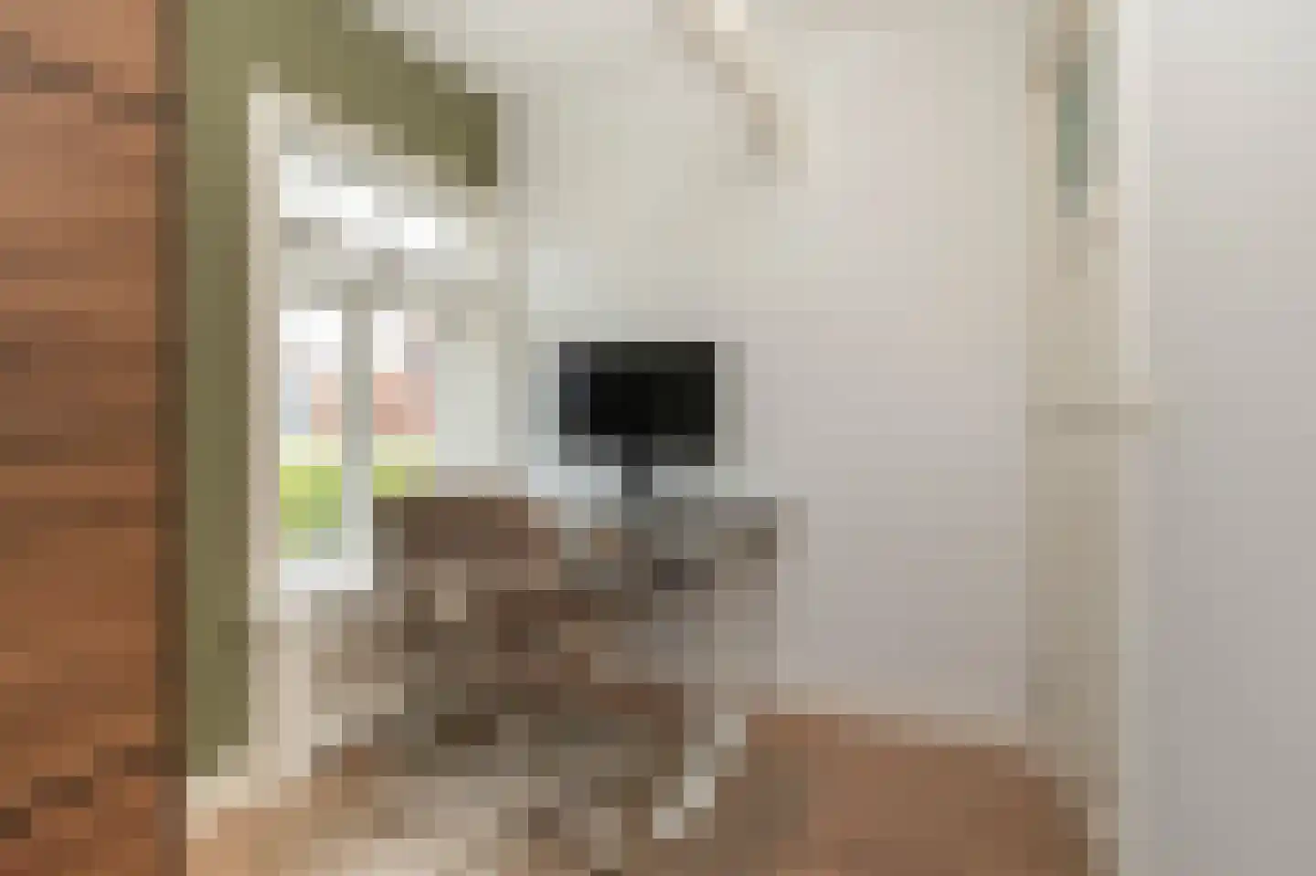 Sparrenlaan 12 Baarn thumbnail 19