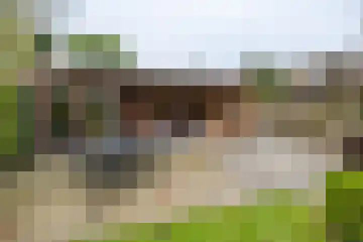 Sparrenlaan 13 Driebergen-Rijsenburg thumbnail 30