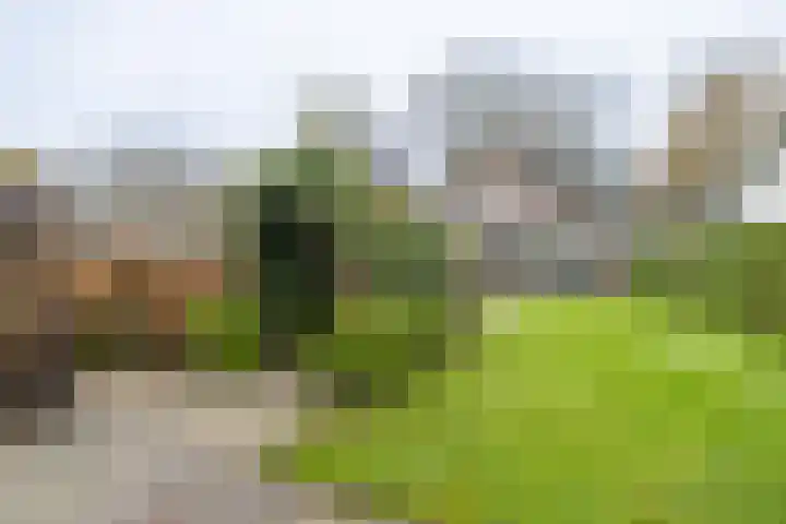 Sparrenlaan 13 Driebergen-Rijsenburg thumbnail 37