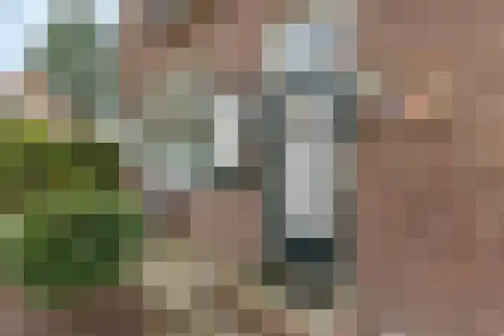 Sparrenlaan 13 Driebergen-Rijsenburg thumbnail 4