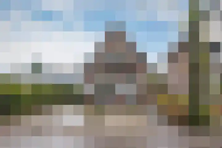 Sparrenlaan 13 Driebergen-Rijsenburg thumbnail 42