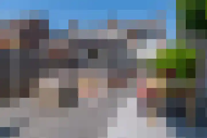 Sparrenlaan 13 Veenendaal thumbnail 29