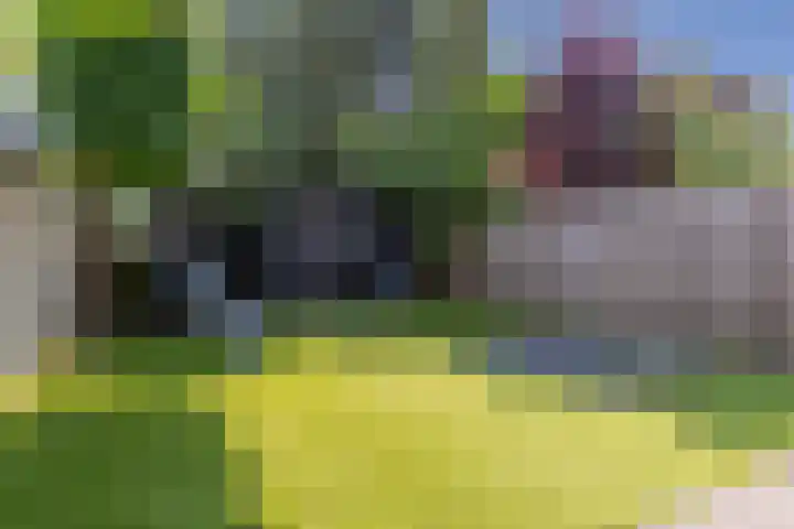 Sparrenlaan 13 Veenendaal thumbnail 31