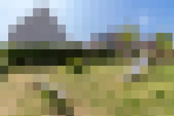 Sparrenlaan 13 Veenendaal thumbnail 36