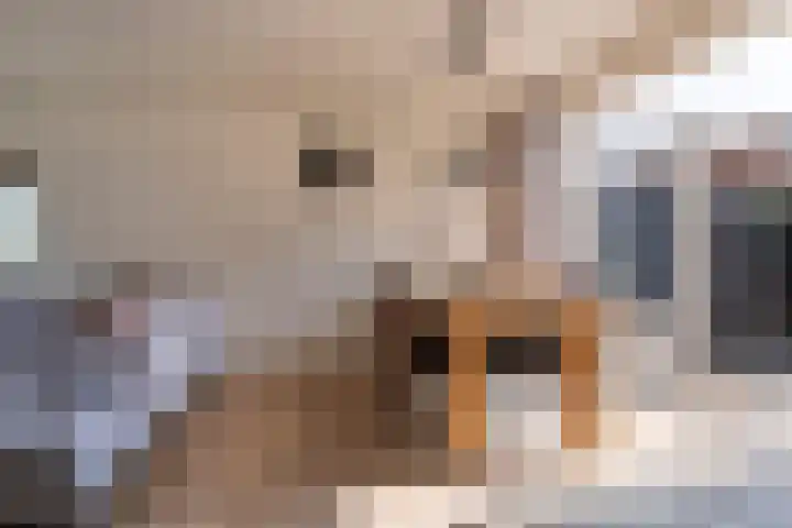 Sparrenlaan 13 Veenendaal thumbnail 7