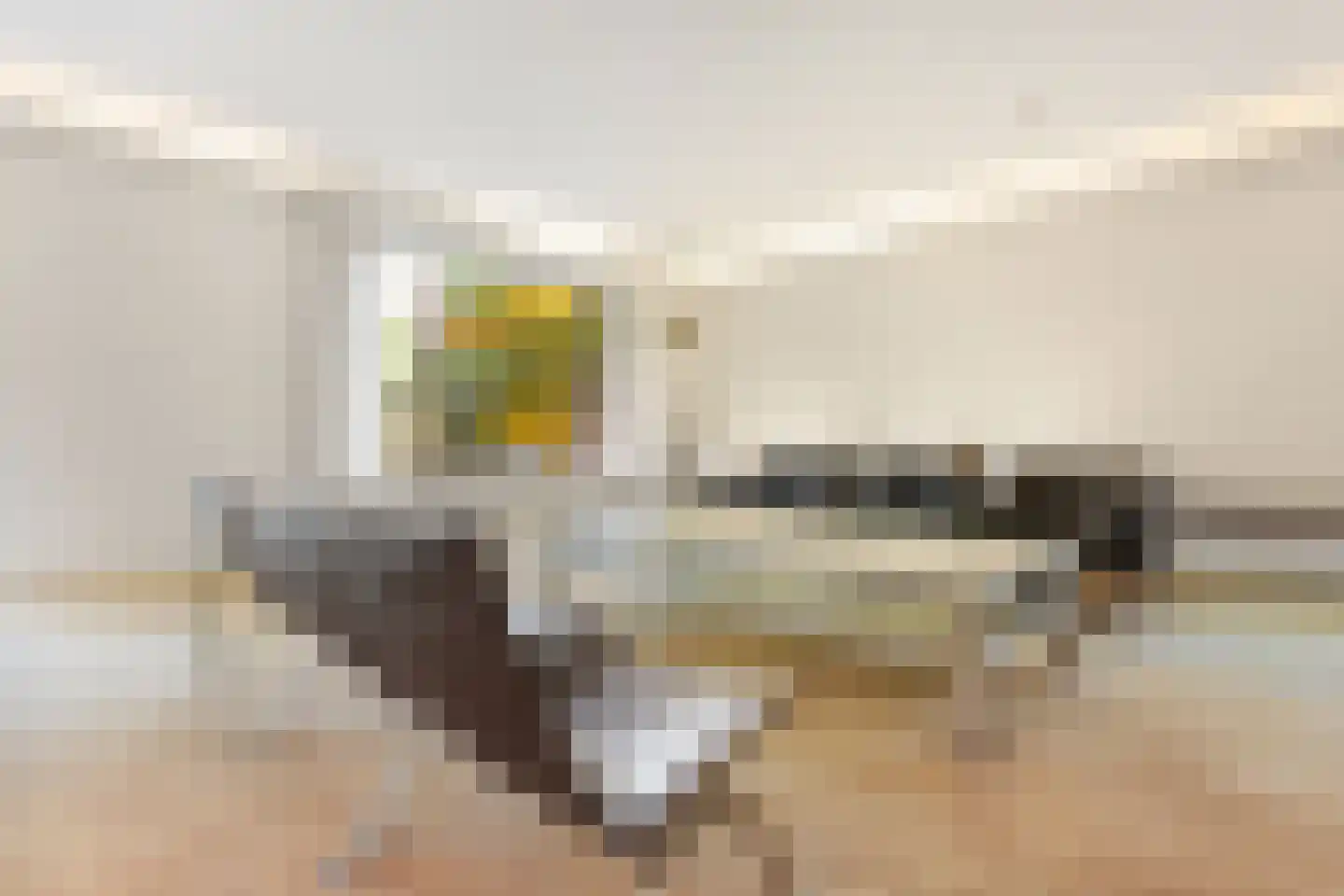 Sparrenlaan 14 Huizen thumbnail 10