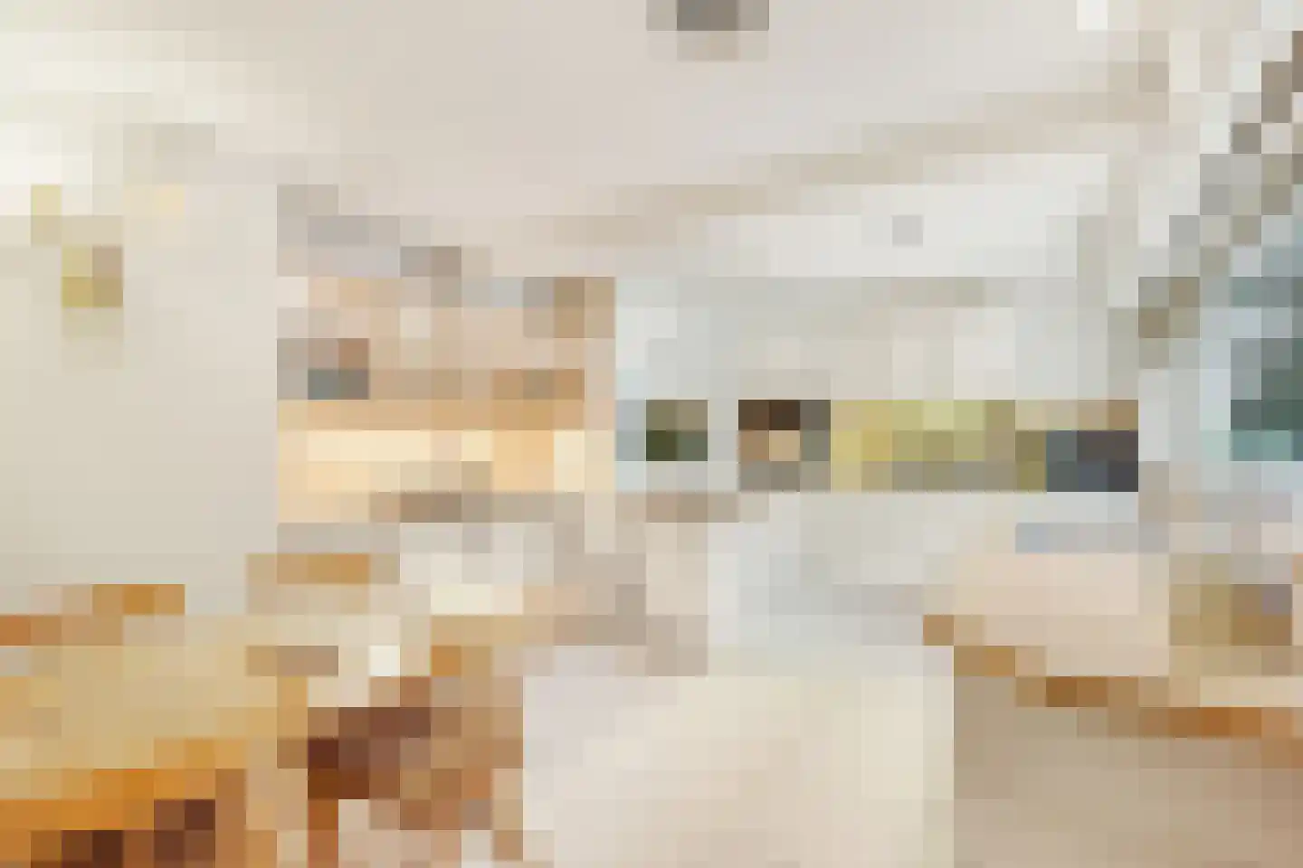 Sparrenlaan 14 Huizen thumbnail 13