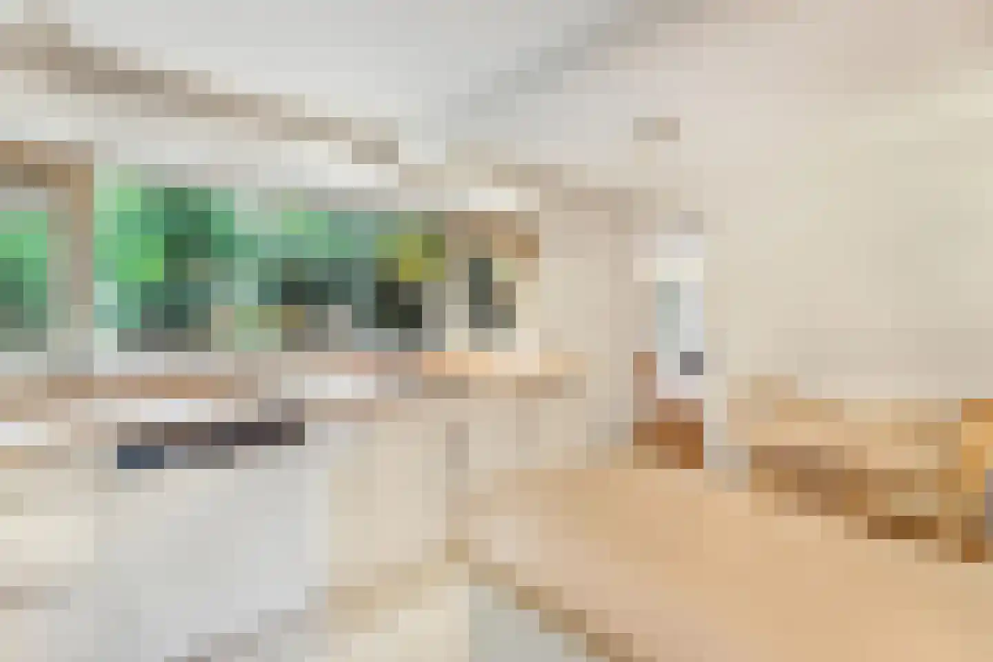 Sparrenlaan 14 Huizen thumbnail 14