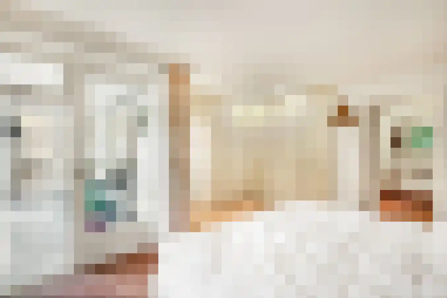 Sparrenlaan 14 Huizen thumbnail 17