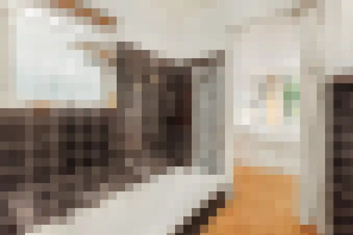 Sparrenlaan 14 Huizen thumbnail 19