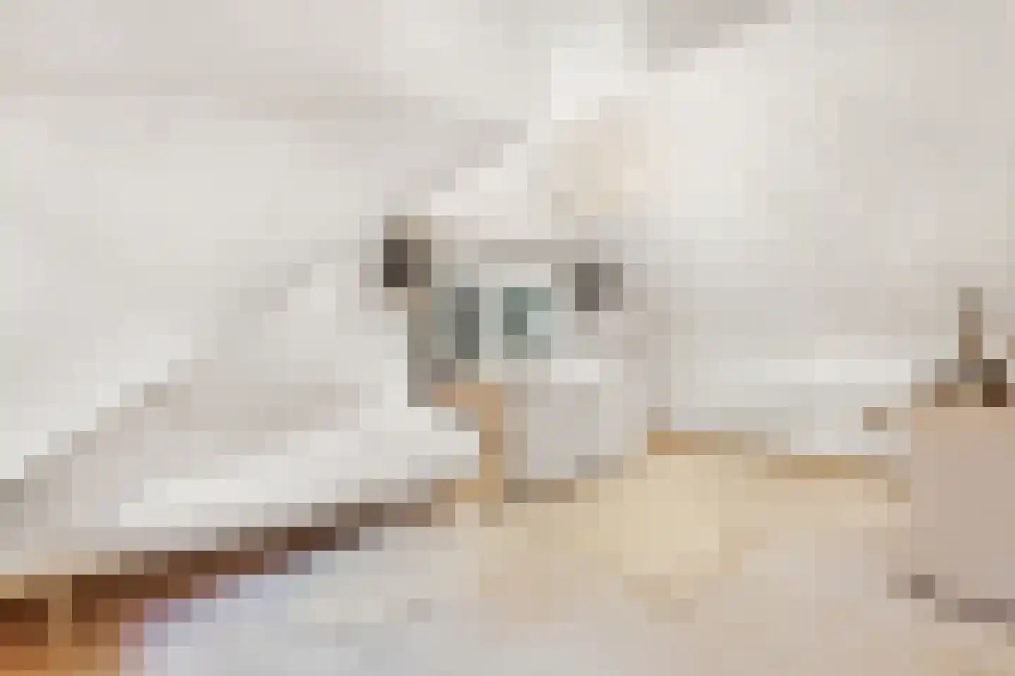 Sparrenlaan 14 Huizen thumbnail 21