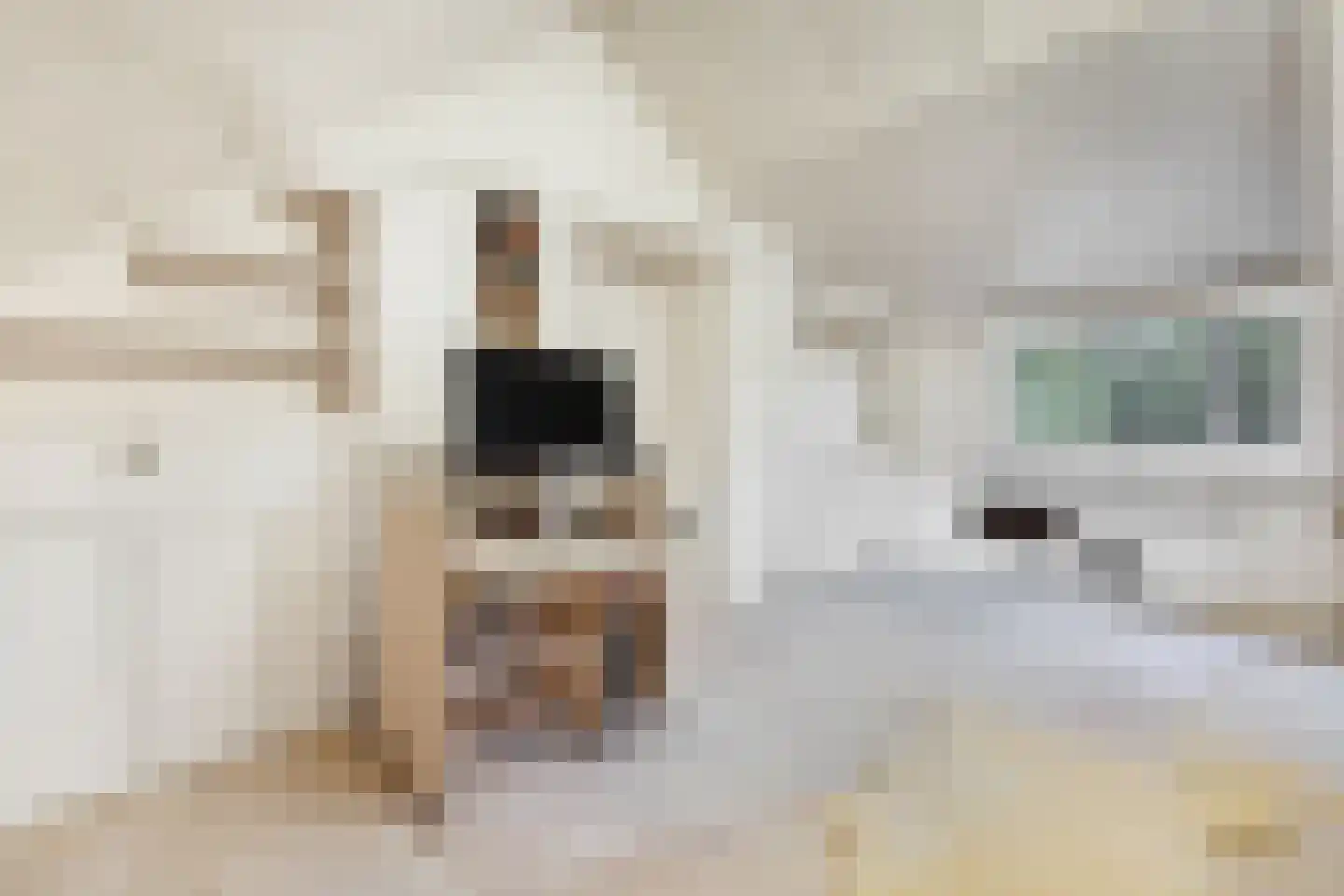 Sparrenlaan 14 Huizen thumbnail 22