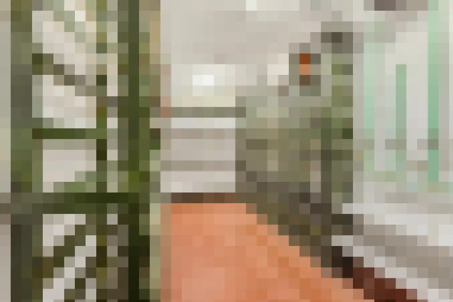 Sparrenlaan 14 Huizen thumbnail 28