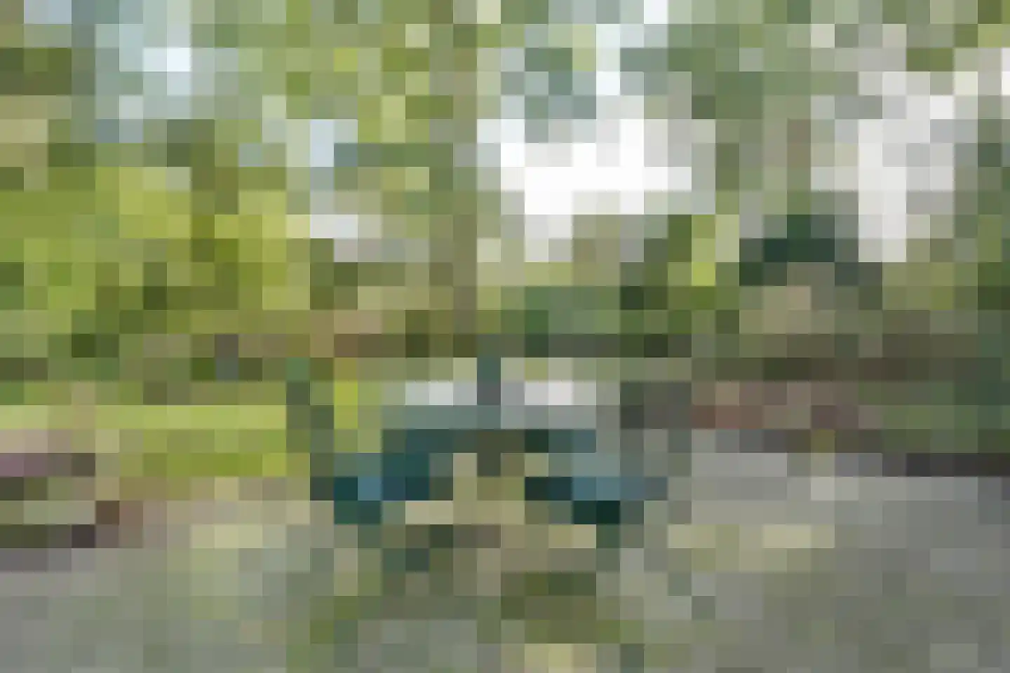 Sparrenlaan 14 Huizen thumbnail 32