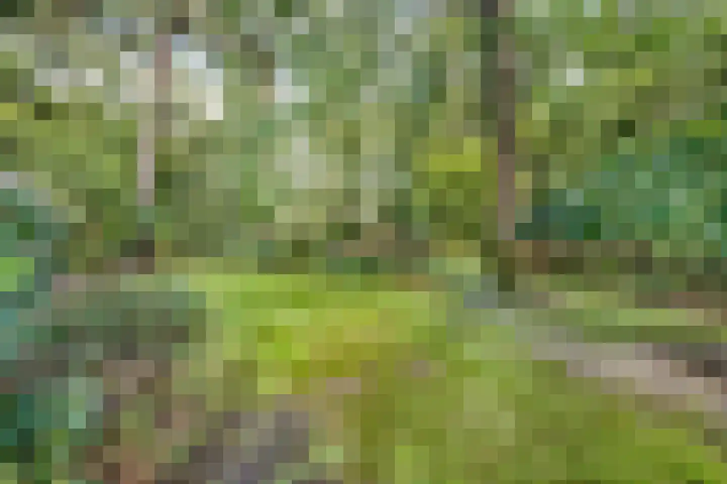 Sparrenlaan 14 Huizen thumbnail 33
