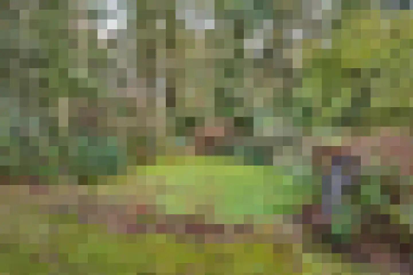 Sparrenlaan 14 Huizen thumbnail 34