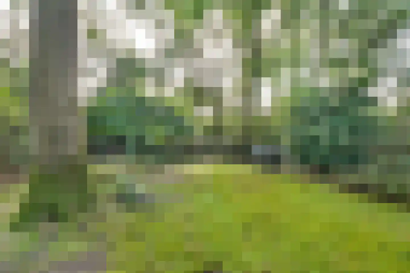 Sparrenlaan 14 Huizen thumbnail 35