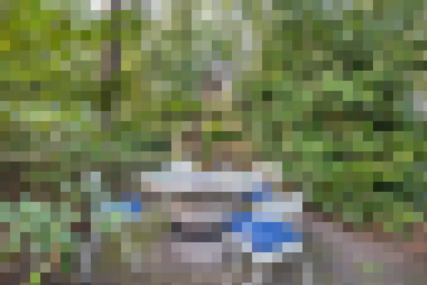 Sparrenlaan 14 Huizen thumbnail 36
