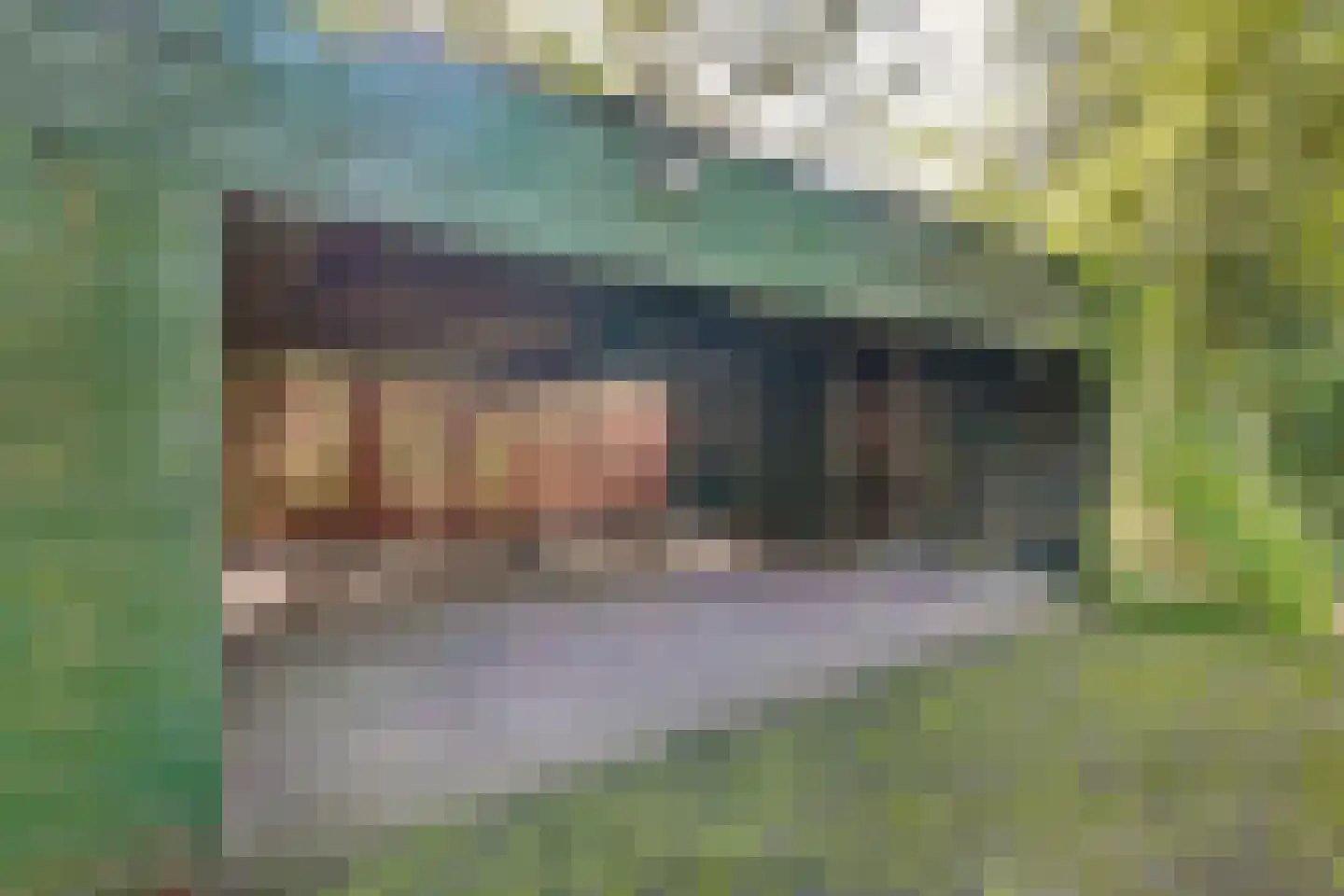 Sparrenlaan 14 Huizen thumbnail 37