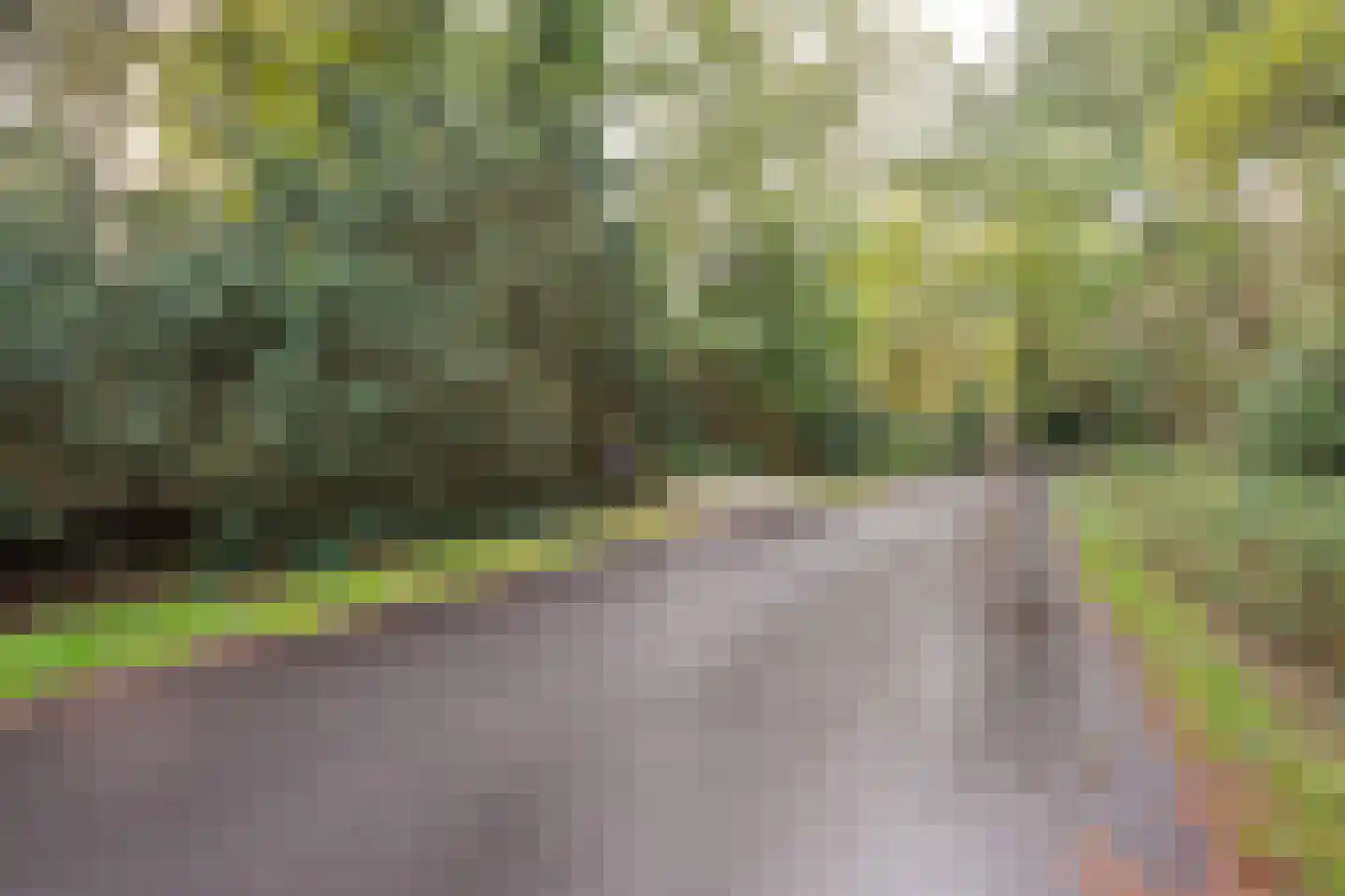 Sparrenlaan 14 Huizen thumbnail 38