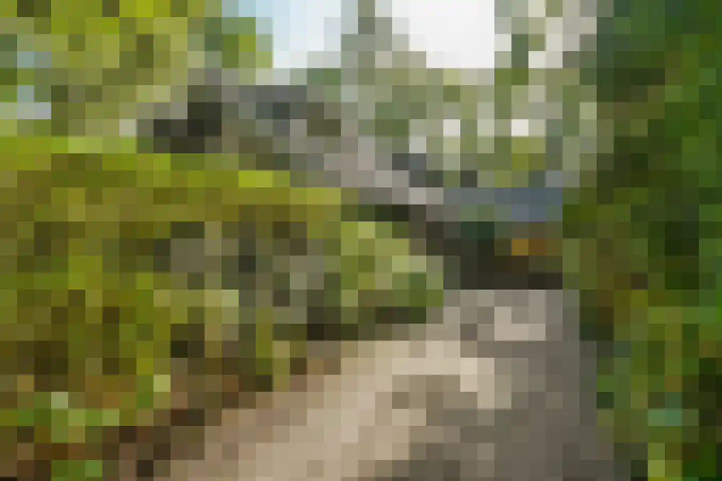 Sparrenlaan 14 Huizen thumbnail 39