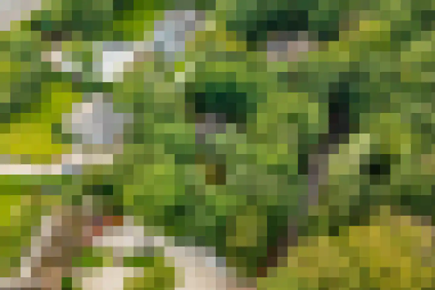 Sparrenlaan 14 Huizen thumbnail 4