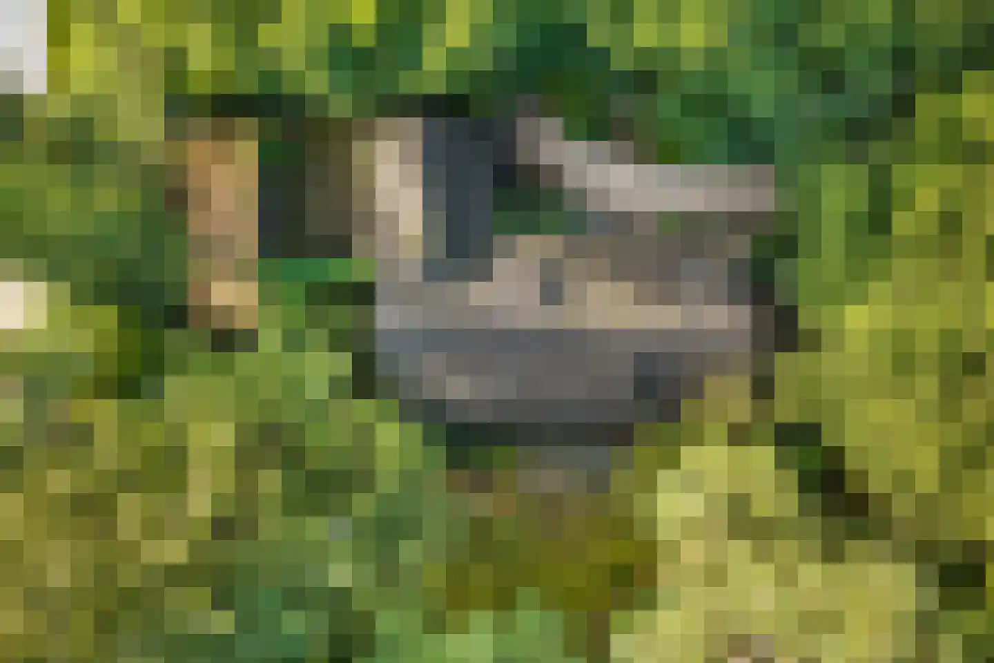 Sparrenlaan 14 Huizen thumbnail 40