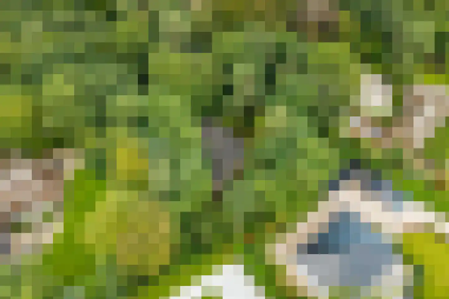 Sparrenlaan 14 Huizen thumbnail 41