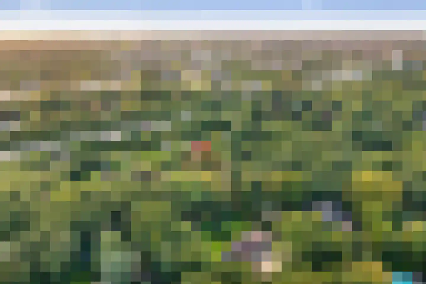 Sparrenlaan 14 Huizen thumbnail 43