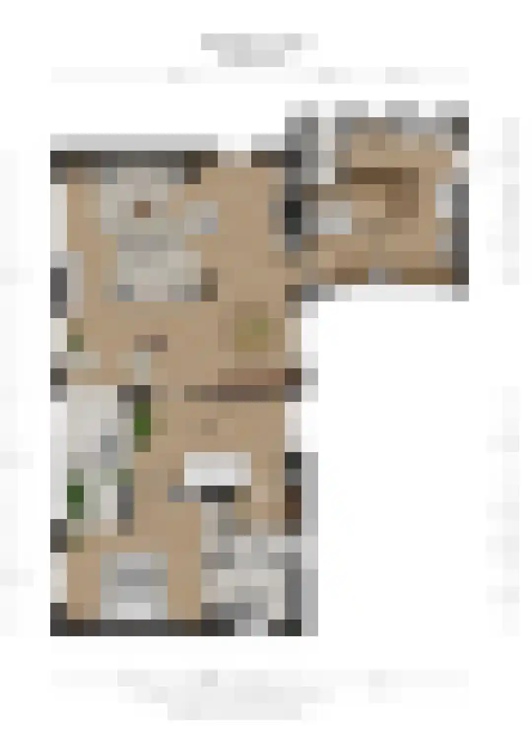 Sparrenlaan 14 Huizen thumbnail 44