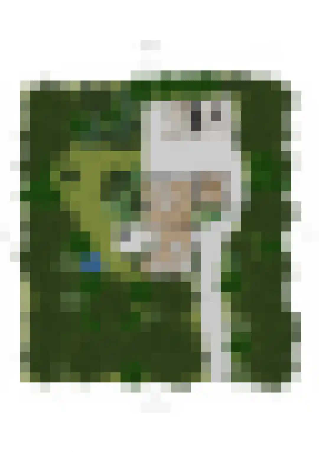 Sparrenlaan 14 Huizen thumbnail 47