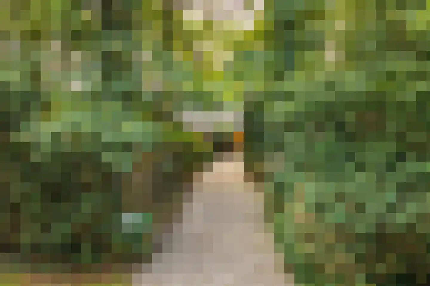 Sparrenlaan 14 Huizen thumbnail 5