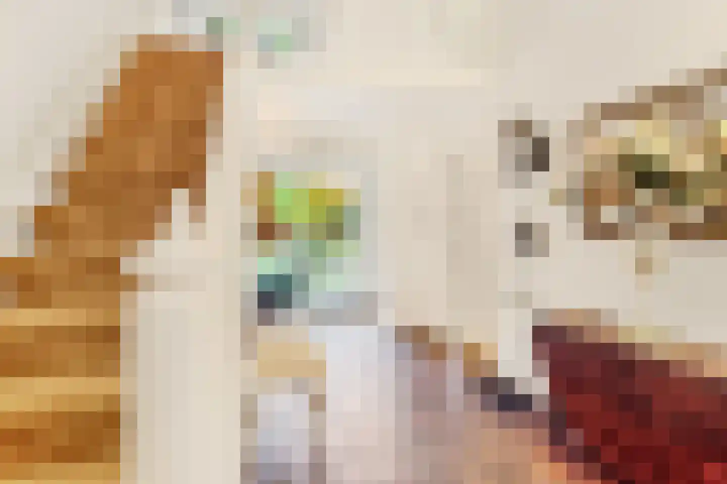 Sparrenlaan 14 Huizen thumbnail 7