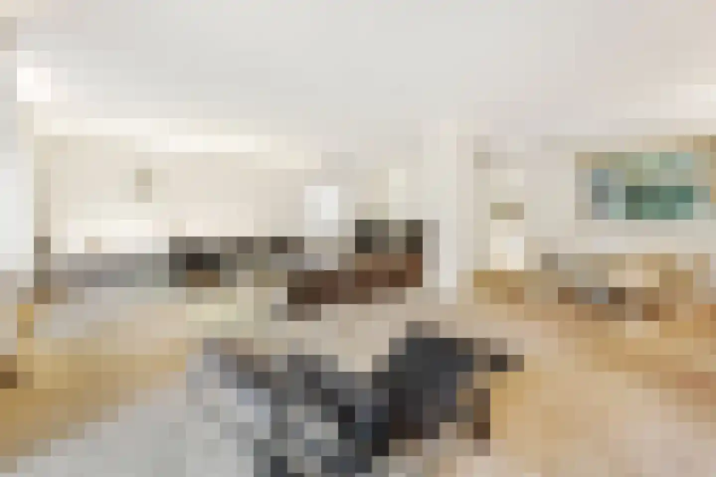 Sparrenlaan 14 Huizen thumbnail 8
