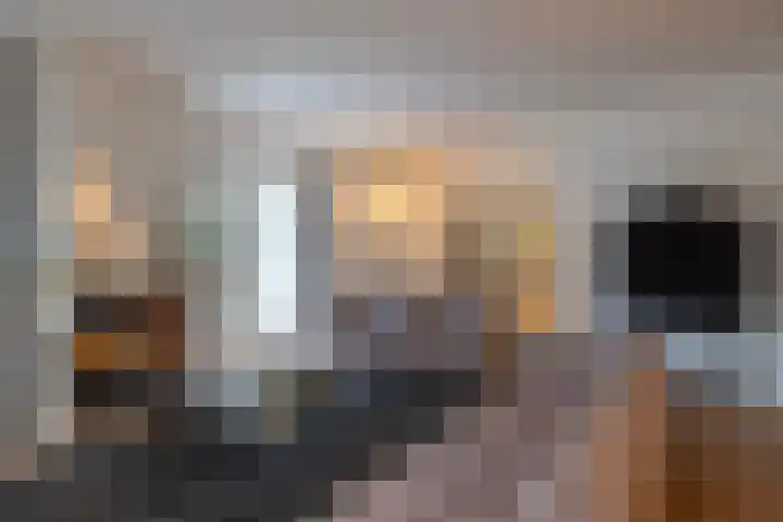 Sparrenlaan 15 A Epe thumbnail 12