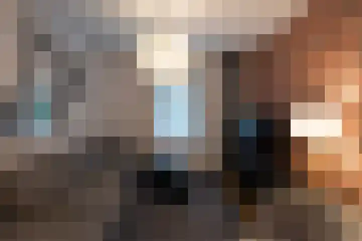 Sparrenlaan 15 A Epe thumbnail 15