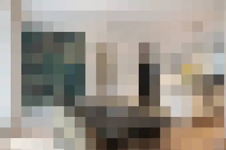 Sparrenlaan 15 A Epe thumbnail 17